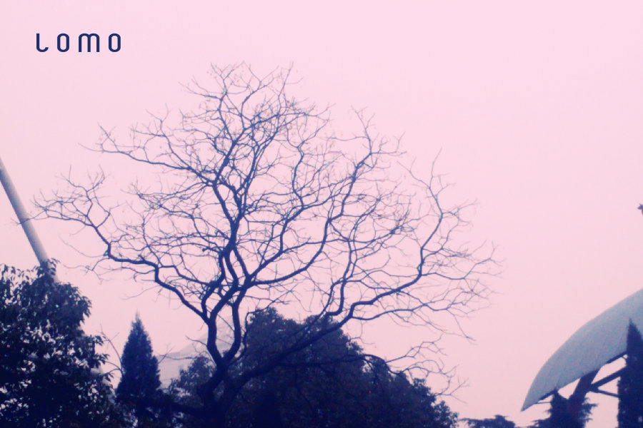 Ψ֣Ψķ羰