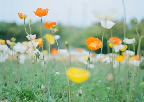 <u>һ</u><u>һ</u><a href='http://www.sbkk8.com' target='_blank'><u></u></a> ͬ˼޺