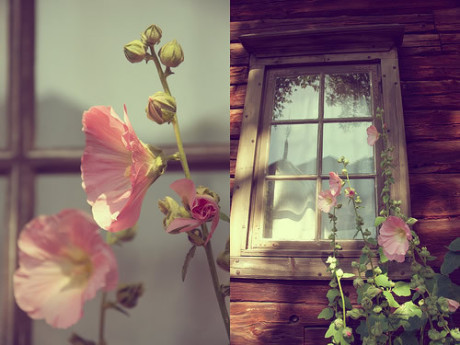 鵭˵˸˵˵ ϧģϰ߾ˣҲһĲֵ
