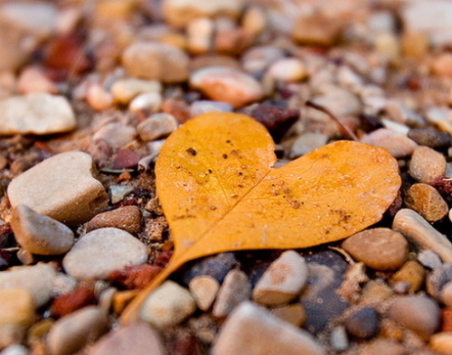 ŮҸӵģʵŮҪ<u>һ</u><u>һ</u>Щˣ