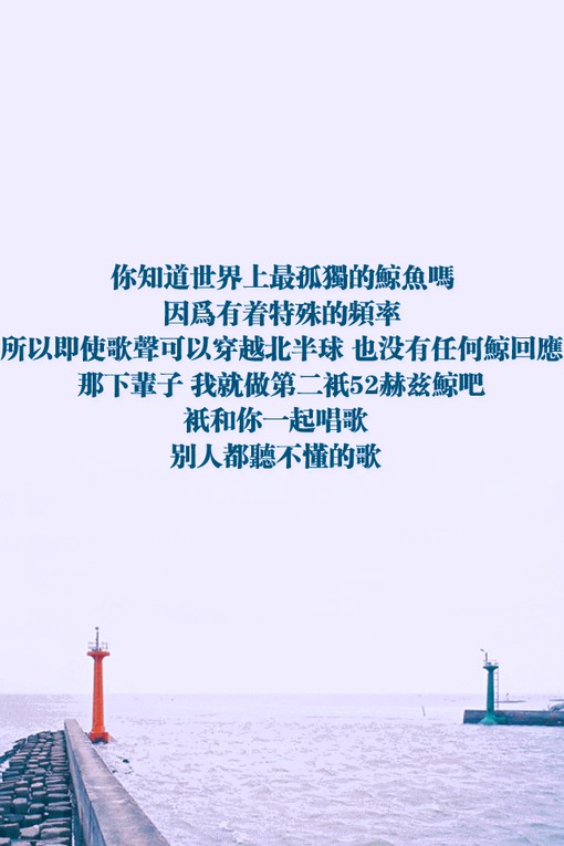 正能量的小清新文字句子