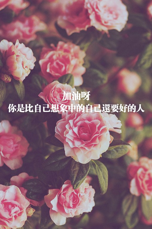 正能量的小清新文字句子