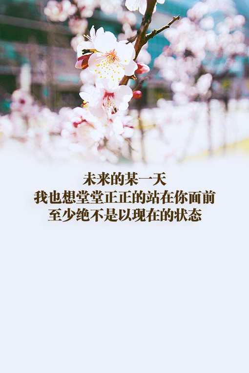 正能量的小清新文字句子