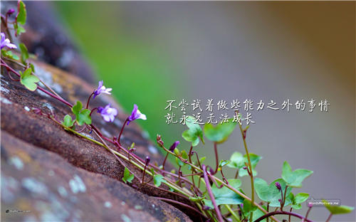 ˵־ͼƬ