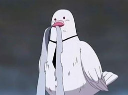 ӺͱĹ