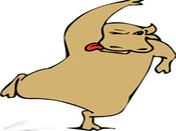 ţ